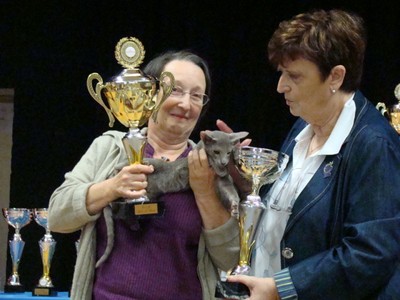 20121021_263 (Expo)
